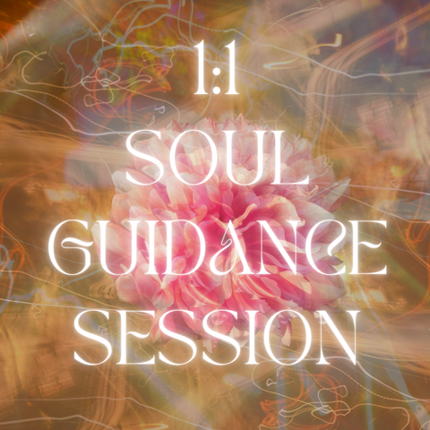 1:1 Intuitive Soul Guidance Session